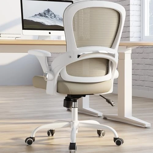 Ergonomic Office Chair with Back Support — Smart Chairs, TRALT