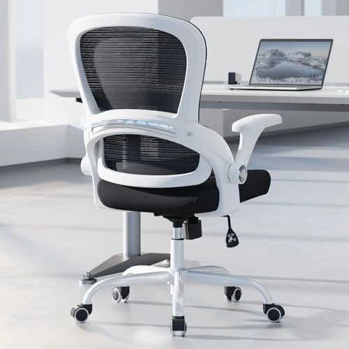 Ergonomic Office Chair with Back Support — Smart Chairs, TRALT