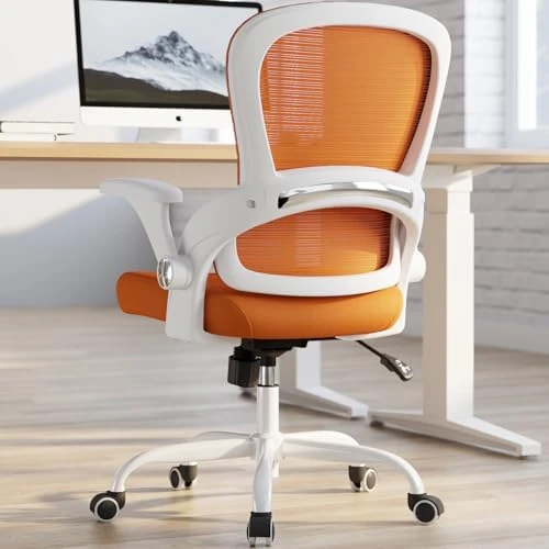 Ergonomic Office Chair with Back Support — Smart Chairs, TRALT