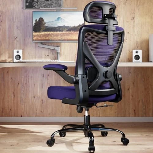 Ergonomic Office Chair with Back Support — Smart Chairs, Ergalithic