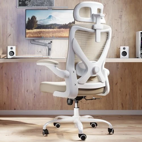 Ergonomic Office Chair with Back Support — Smart Chairs, Ergalithic