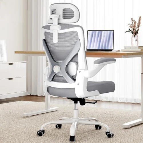 Ergonomic Office Chair with Back Support — Smart Chairs, Ergalithic
