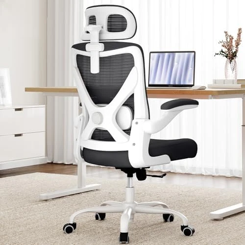 Ergonomic Office Chair with Back Support — Smart Chairs, Ergalithic