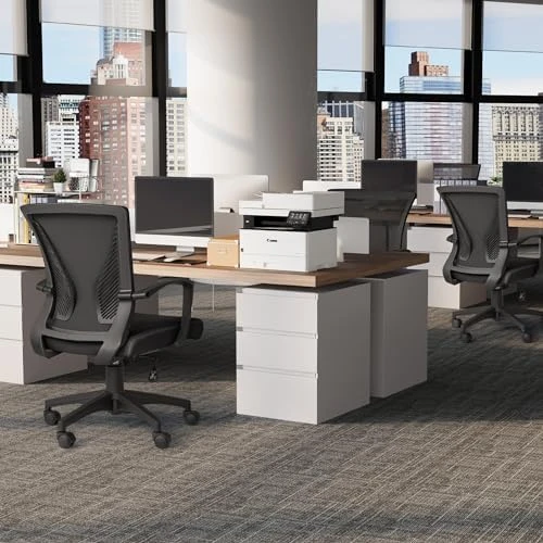Mid Back Swivel Office Chair with Lumbar Support and Armrest — Smart Chairs, Furmax