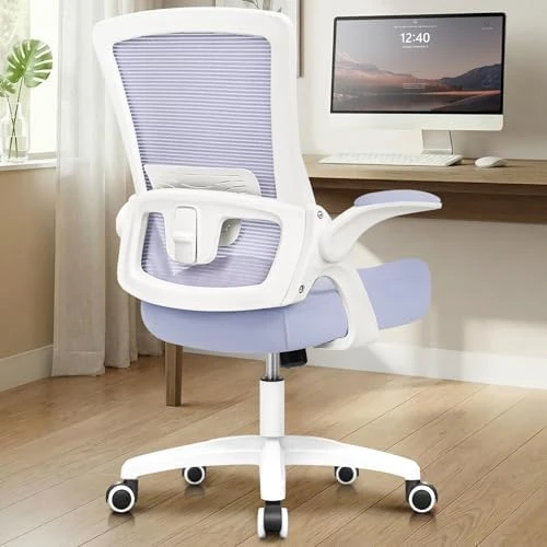 Office Desk Gaming Chair Computer High Back Mesh Seat with Rolling Wheels Ergonomic Adjustable Comfy Flip-up Armrests... — Smart Chairs, NEO CHAIR