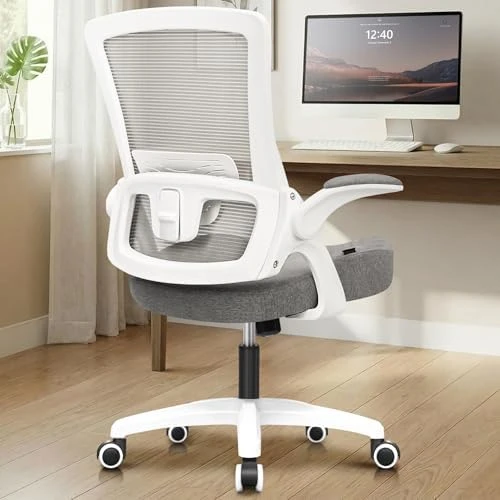 Office Desk Gaming Chair Computer High Back Mesh Seat with Rolling Wheels Ergonomic Adjustable Comfy Flip-up Armrests... — Smart Chairs, NEO CHAIR