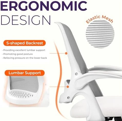 Office Desk Gaming Ergonomic Computer Chair with Lumbar Back Support — Smart Chairs, NEO CHAIR