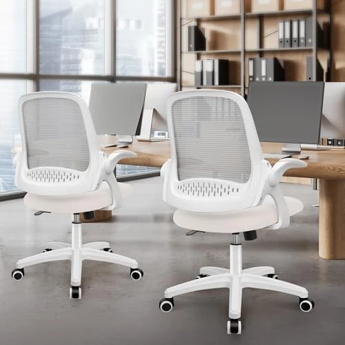 Office Desk Gaming Ergonomic Computer Chair with Lumbar Back Support — Smart Chairs, NEO CHAIR