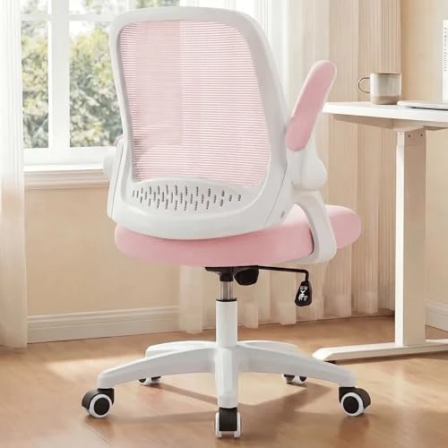 Office Desk Gaming Ergonomic Computer Chair with Lumbar Back Support — Smart Chairs, NEO CHAIR