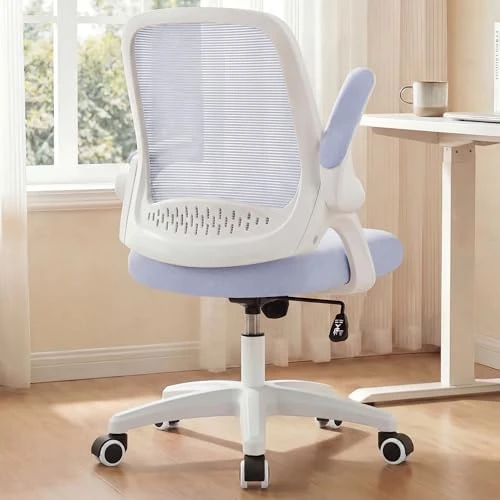 Office Desk Gaming Ergonomic Computer Chair with Lumbar Back Support — Smart Chairs, NEO CHAIR