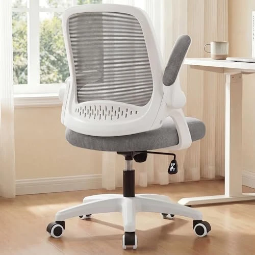Office Desk Gaming Ergonomic Computer Chair with Lumbar Back Support — Smart Chairs, NEO CHAIR