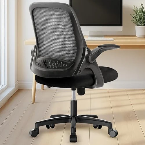 Office Desk Gaming Ergonomic Computer Chair with Lumbar Back Support — Smart Chairs, NEO CHAIR