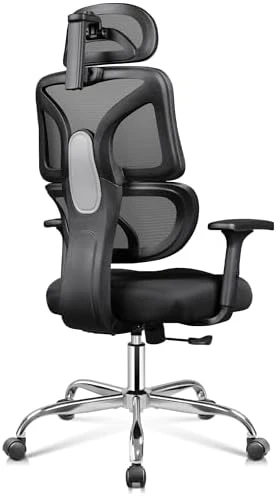 Big and Tall Reclining Ergonomic Desk Chair — Smart Chairs, DEVAISE