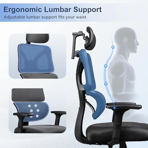 Big and Tall Reclining Ergonomic Desk Chair — Smart Chairs, DEVAISE