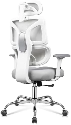 Big and Tall Reclining Ergonomic Desk Chair — Smart Chairs, DEVAISE