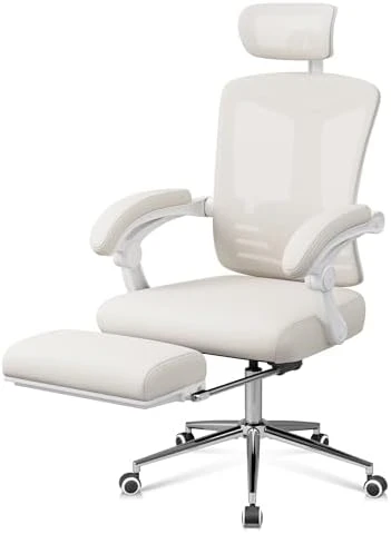 Big and Tall Reclining Ergonomic Desk Chair — Smart Chairs, DEVAISE