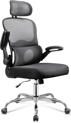 Big and Tall Reclining Ergonomic Desk Chair — Smart Chairs, DEVAISE
