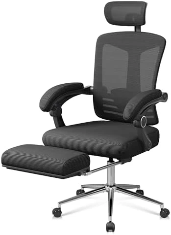 Big and Tall Reclining Ergonomic Desk Chair — Smart Chairs, DEVAISE