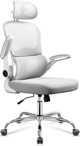 Big and Tall Reclining Ergonomic Desk Chair — Smart Chairs, DEVAISE