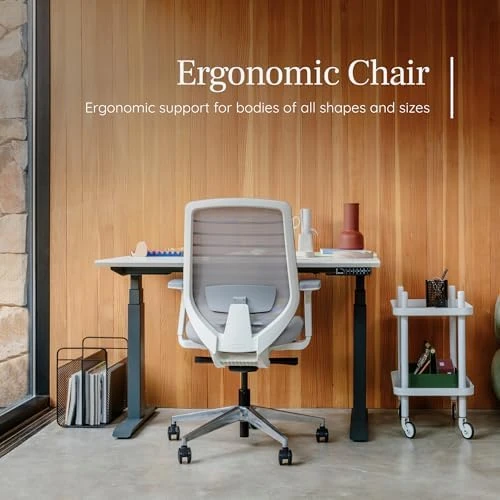 Ergonomic Chair — Smart Chairs, Branch