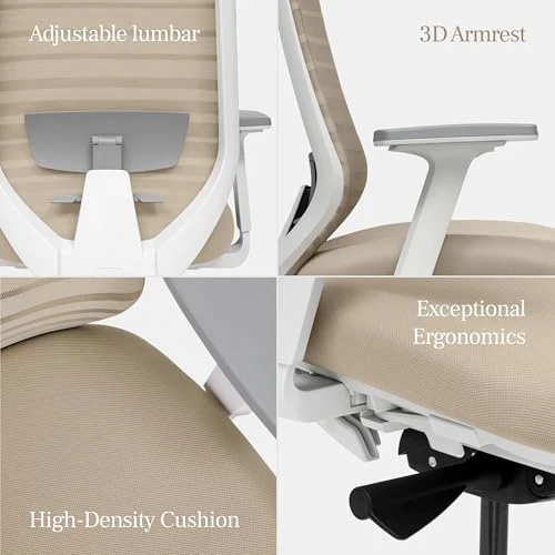 Ergonomic Chair — Smart Chairs, Branch