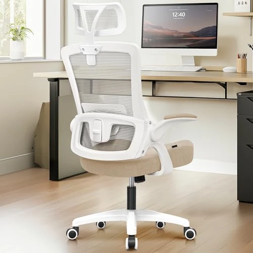 Office Desk Chair with Ergonomic Headrest and Lumbar Support — Smart Chairs, NEO CHAIR