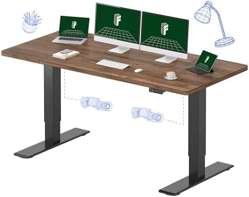 60x24 Inch Electric Standing Desk — Standing Desk, FLEXISPOT