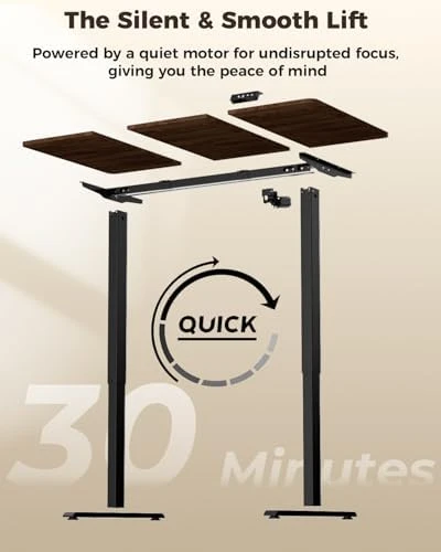 Electric Standing Desk 48" x 24" — Standing Desk, Next Beauty