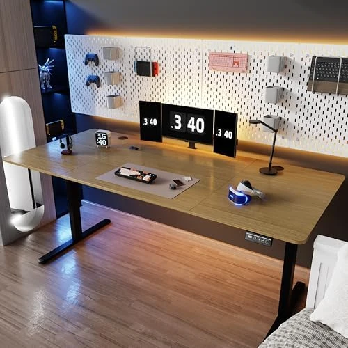 Standing Desk, 71x31 Inch Height Adjustable Electric Sit Stand Desk, Ergonomic Rising Computer Table, Modern Lift Gaming... — Standing Desk, Shintenchi