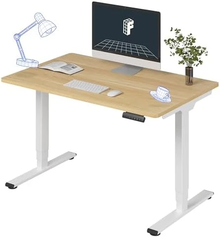 3-Stage Dual Motor Electric Standing Desk 55 x 28 — Standing Desk, FLEXISPOT