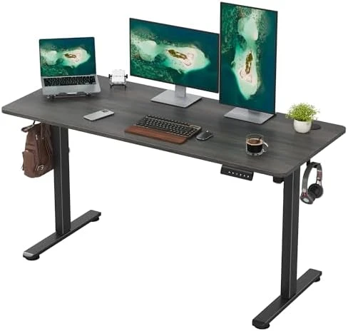 48 x 24 inches Electric Standing Desk — Standing Desk, Casaphoria