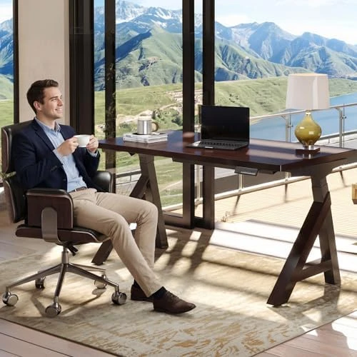 60 x 30 Inch Oak Executive Standing Desk, Dual Motor Electric Height Adjustable Desk — Standing Desk, FLEXISPOT