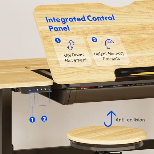 Electric Drafting Table Adjustable Height 47.2"x23.6" Standing Drawing Desk Extendable Top Craft Workstation with... — Standing Desk, FLEXISPOT
