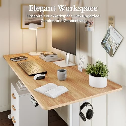 Large Standing Desk with Dual Monitor Setup — Standing Desk, Monomi