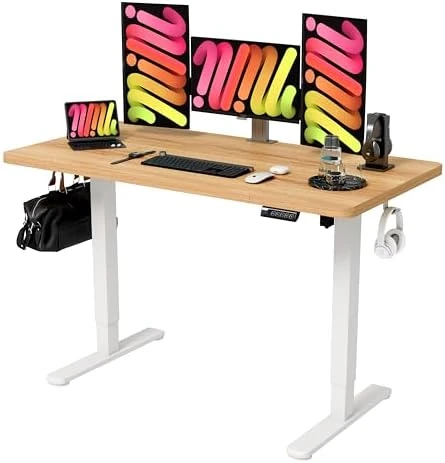 Large Standing Desk with Dual Monitor Setup — Standing Desk, Monomi