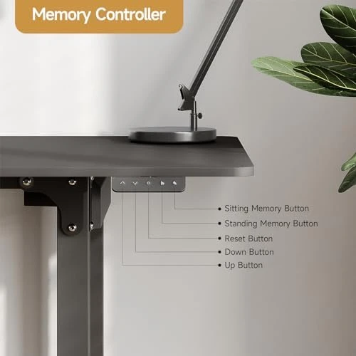 Standing Desk, 71x32 Inches — Standing Desk, ONBRILL