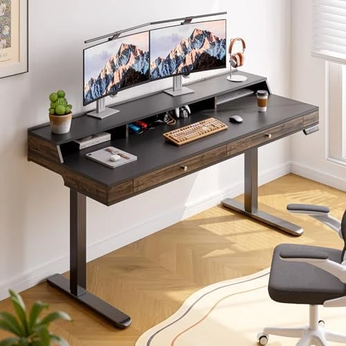 Standing Desk with Drawers, 63x23.6 Inch Electric Stand Up Desk with Storage Shelf and Memory Controller — Standing Desk, ONBRILL