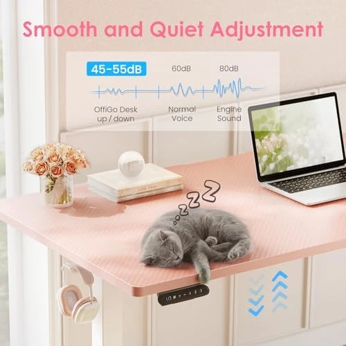 Electric Height Adjustable Standing Desk, 48 Inch Pink Computer Desk for Women Girls, Sit Stand Table for Home, Office,... — Standing Desk, OffiGo
