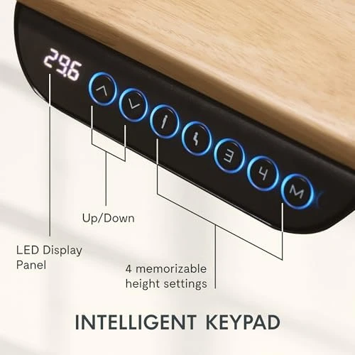 Solid Wood Dual Motor Standing Desk — Standing Desk, FLEXISPOT