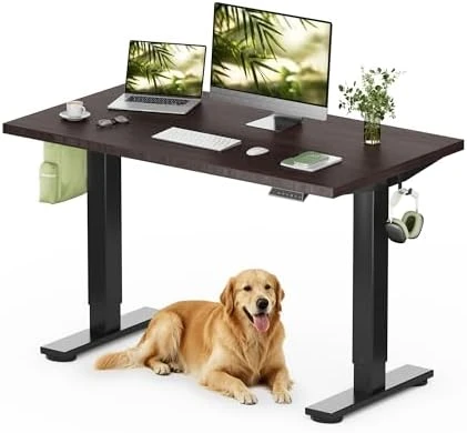 Solid Wood Standing Desk — Standing Desk, FLEXISPOT