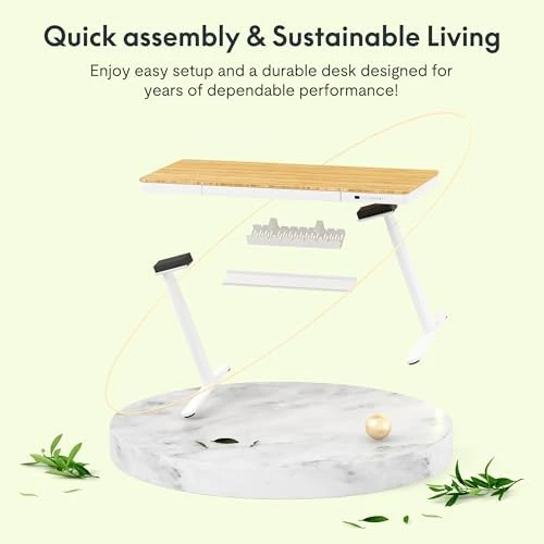 55" Bamboo Standing Desk, Dual Motor 3 Stages Adjustable Height Electric Computer Workstation with Wireless Charging,... — Standing Desk, FLEXISPOT