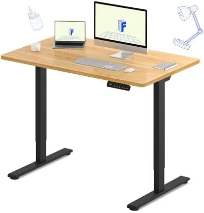 Dual Motor Electric Standing Desk 48 x 24 — Standing Desk, FLEXISPOT