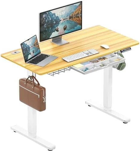 Electric Height Adjustable Standing Desk with Drawer, Memory Preset and Cable Management Tray — Standing Desk, SHW