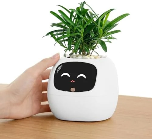 Ivy Interactive AI Desk Companion — Robot Pet, PLANTSIO