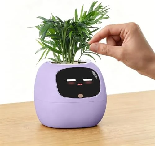 Ivy Interactive AI Desk Companion — Robot Pet, PLANTSIO