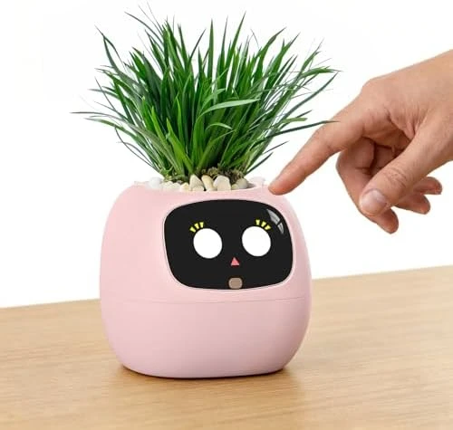 Ivy Interactive AI Desk Companion — Robot Pet, PLANTSIO