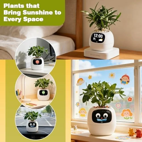 Smart Plant Pot with Visual Display — Indoor Garden, PLANTSIO