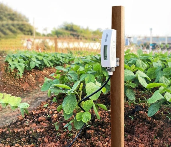 Soil Moisture Sensor with LCD Display and 1m PVC Wire Probe — Soil Moisture Sensor, ECOWITT