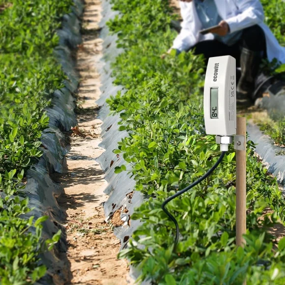 Soil Moisture Sensor with LCD Display and 1m PVC Wire Probe — Soil Moisture Sensor, ECOWITT