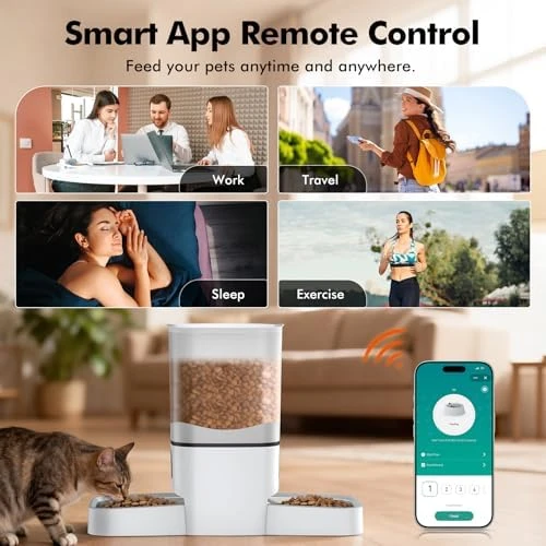 Automatic Cat Feeder for 2 Cats — Automatic Pet Feeder, MRSDAYU